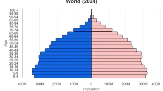 World population age pyramid for 2024. Context chart, not the 1960 mathematical curve.