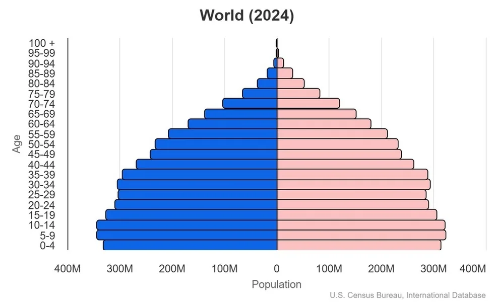 World population age pyramid for 2024. Context chart, not the 1960 mathematical curve.