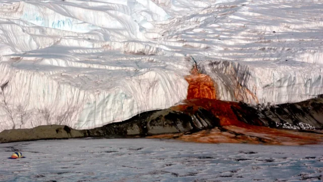 Blood Falls at Taylor Glacier in Antarctica, photographed by Peter Rejcek.