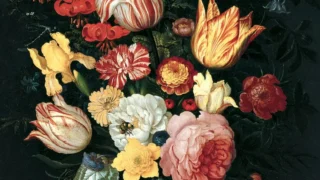 Flower still life with shells and insects by Balthasar van der Ast. Public-domain art context, not Gertrude Abercrombie’s auctioned painting.