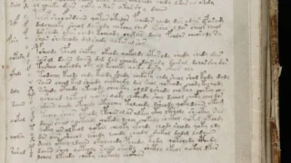 An illustrated page from the Voynich manuscript.