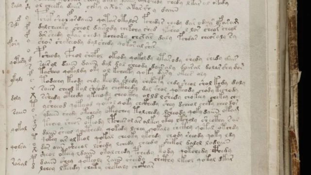 An illustrated page from the Voynich manuscript.
