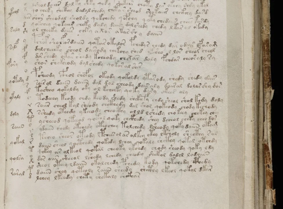 An illustrated page from the Voynich manuscript.