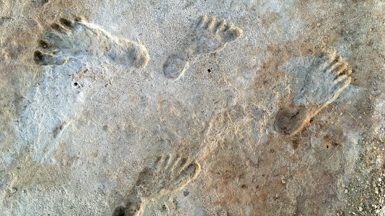Fossil human footprints preserved in sediment at White Sands National Park.